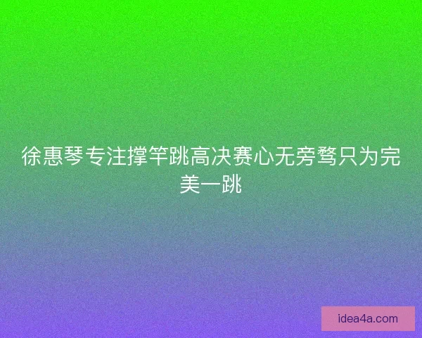 徐惠琴专注撑竿跳高决赛心无旁骛只为完美一跳