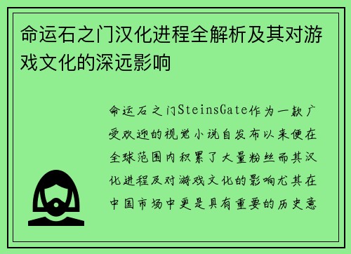 命运石之门汉化进程全解析及其对游戏文化的深远影响